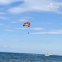 фото из отзыва ID 2289293