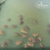 фото из отзыва ID 2289604