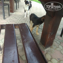 фото из отзыва ID 2289810