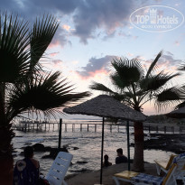 фото из отзыва ID 2289935