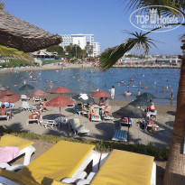 фото из отзыва ID 2289935