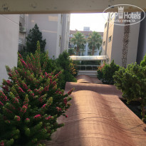 фото из отзыва ID 2289588