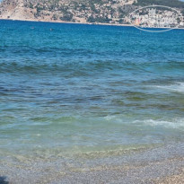 фото из отзыва ID 2289952