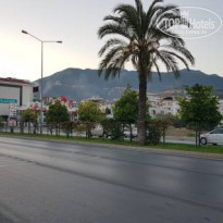 фото из отзыва ID 2289952