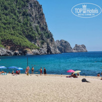 фото из отзыва ID 2289952