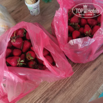 фото из отзыва ID 2289946