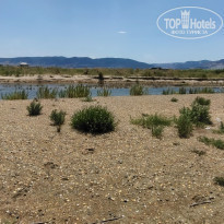 фото из отзыва ID 2289292