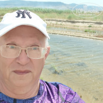 фото из отзыва ID 2289292