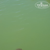 фото из отзыва ID 2280134