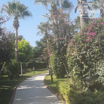 фото из отзыва ID 2280134