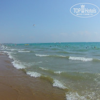 фото из отзыва ID 2280134