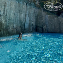 фото из отзыва ID 2285072