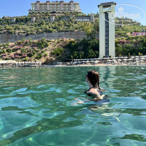 фото из отзыва ID 2285072