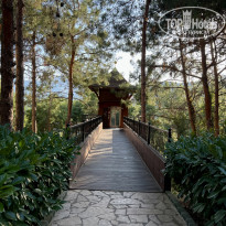 фото из отзыва ID 2285072