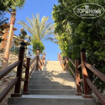 фото из отзыва ID 2285072