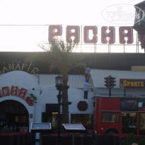 фото из отзыва ID 229128