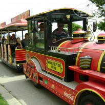 фото из отзыва ID 229240