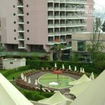 фото из отзыва ID 229161