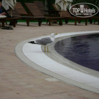 фото из отзыва ID 229161