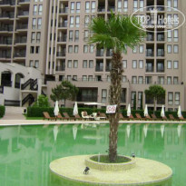 фото из отзыва ID 229161