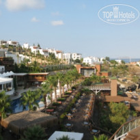 фото из отзыва ID 229474