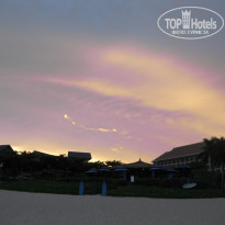 фото из отзыва ID 229530