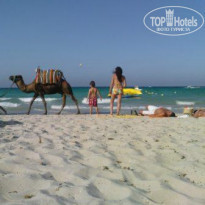 фото из отзыва ID 229653