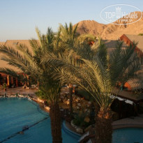 фото из отзыва ID 229971