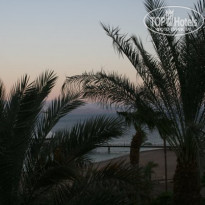 фото из отзыва ID 229971