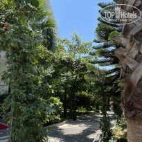 фото из отзыва ID 2290040