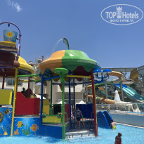 фото из отзыва ID 2290040