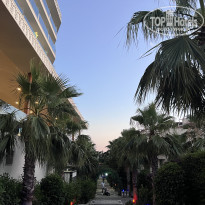 фото из отзыва ID 2290040