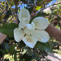 фото из отзыва ID 2290040