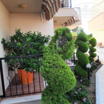 фото из отзыва ID 2290057