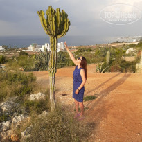 фото из отзыва ID 2290086