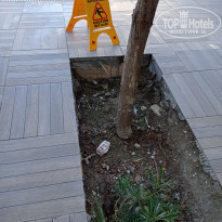 фото из отзыва ID 2290236