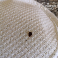 фото из отзыва ID 2290318