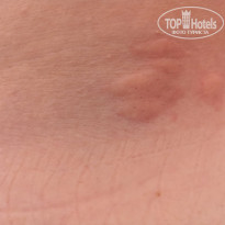 фото из отзыва ID 2290318