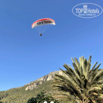 фото из отзыва ID 2290304