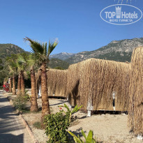 фото из отзыва ID 2290304