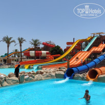 фото из отзыва ID 2290371