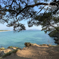 фото из отзыва ID 2290434