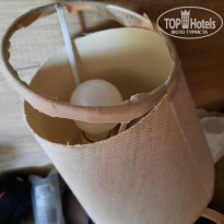 фото из отзыва ID 2290491