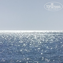 фото из отзыва ID 2290524