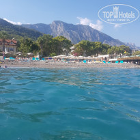 фото из отзыва ID 2290533