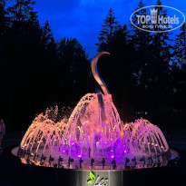 фото из отзыва ID 2290632