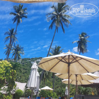 фото из отзыва ID 2290619