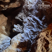 фото из отзыва ID 2290682