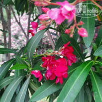 фото из отзыва ID 2290682