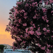 фото из отзыва ID 2290682